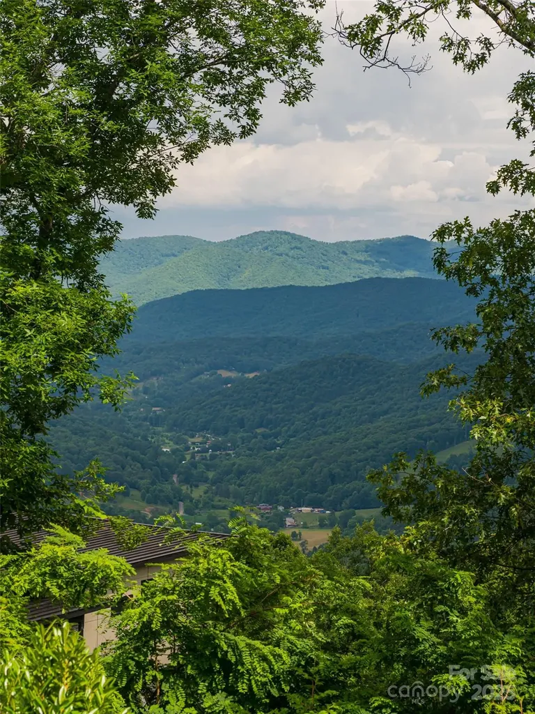 130 Bluff Creek Terrace Candler NC 28715