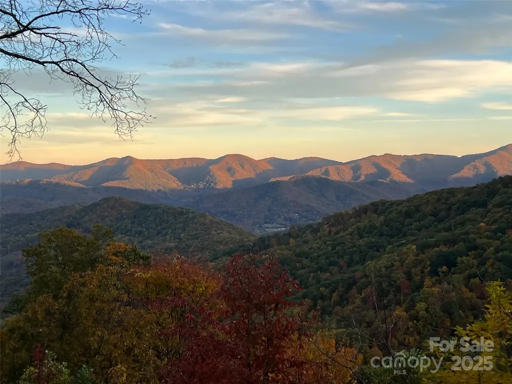 130 Bluff Creek Terrace Candler NC 28715