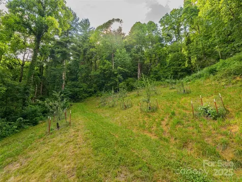 130 Bluff Creek Terrace Candler NC 28715