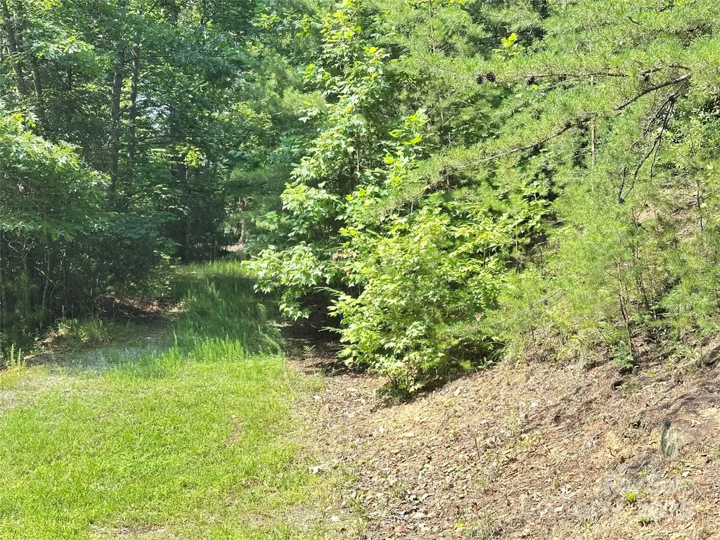 00 Plantation Drive Marion NC 28752