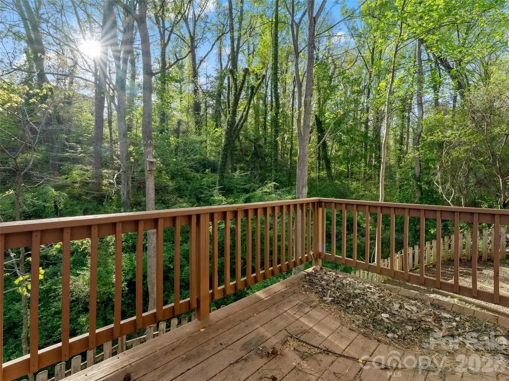 13 Castle Street Asheville NC 28803