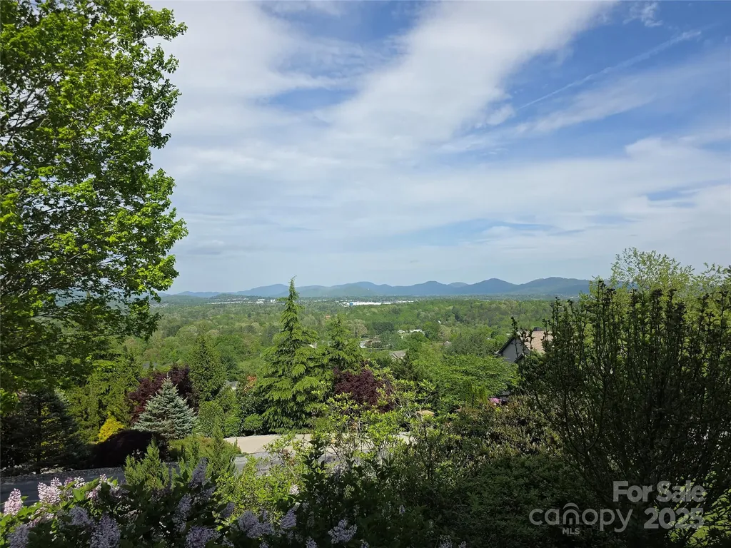 99999 Laurel Drive Mills River NC 28759