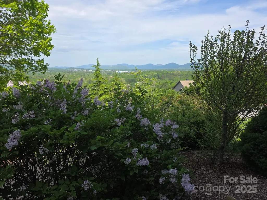 99999 Laurel Drive Mills River NC 28759