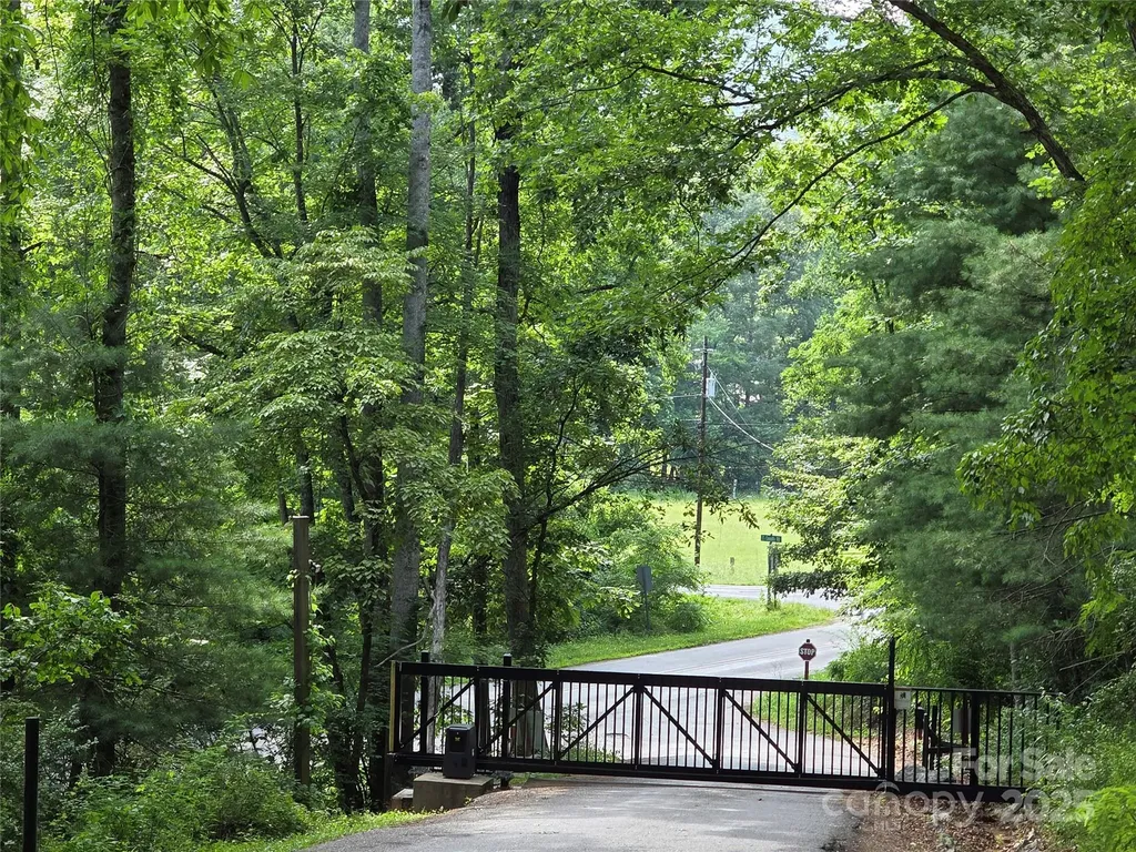 99999 Laurel Drive Mills River NC 28759