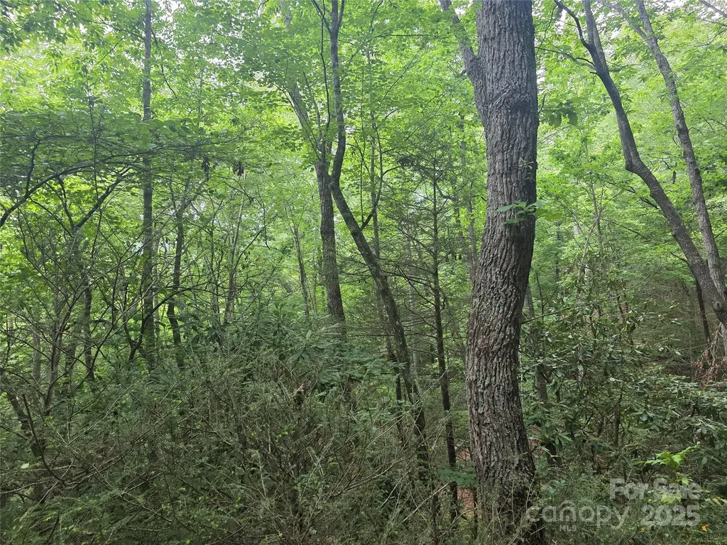 99999 Laurel Drive Mills River NC 28759