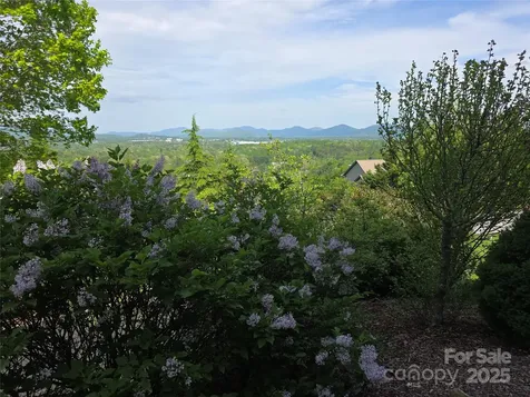 99999 Laurel Drive Mills River NC 28759