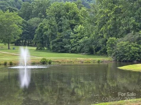 99999 Laurel Drive Mills River NC 28759
