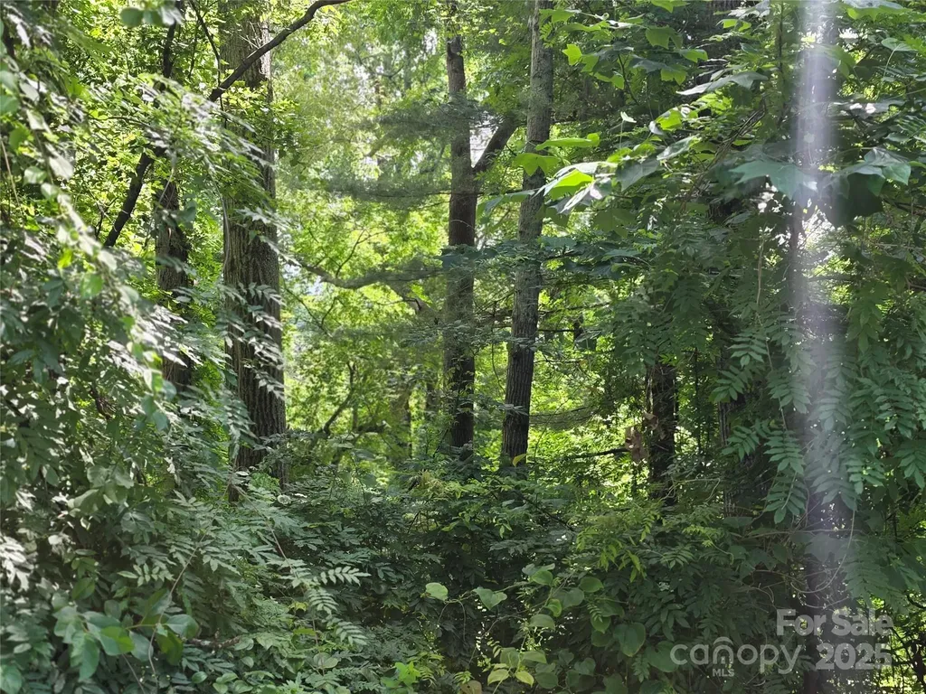 99999 Red Oak Drive Mills River NC 28759