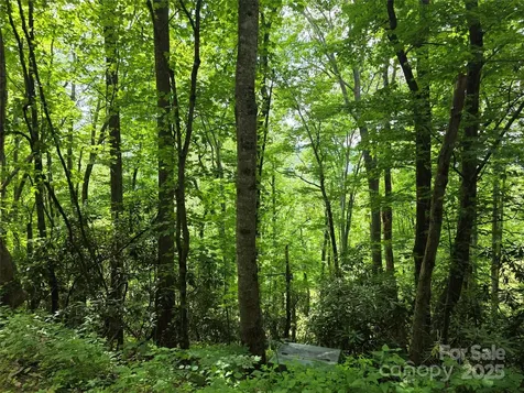 99999 Red Oak Drive Mills River NC 28759