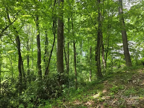 99999 Red Oak Drive Mills River NC 28759