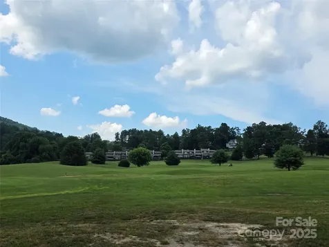 801399 Ivy Road Mills River NC 28759