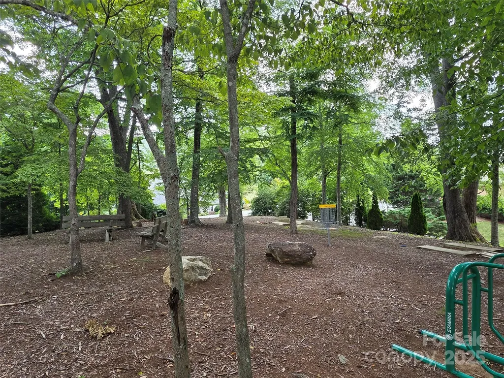 800610 Ivy Road Mills River NC 28759