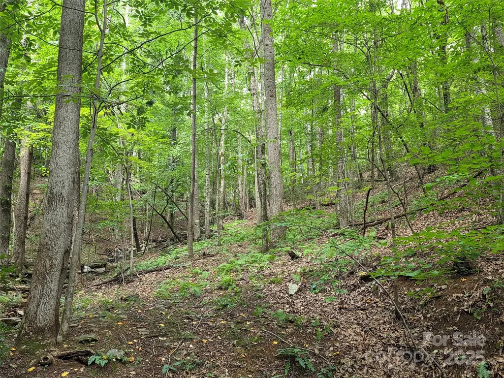 800610 Ivy Road Mills River NC 28759