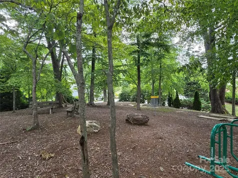 800610 Ivy Road Mills River NC 28759