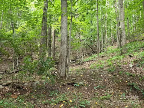 800610 Ivy Road Mills River NC 28759