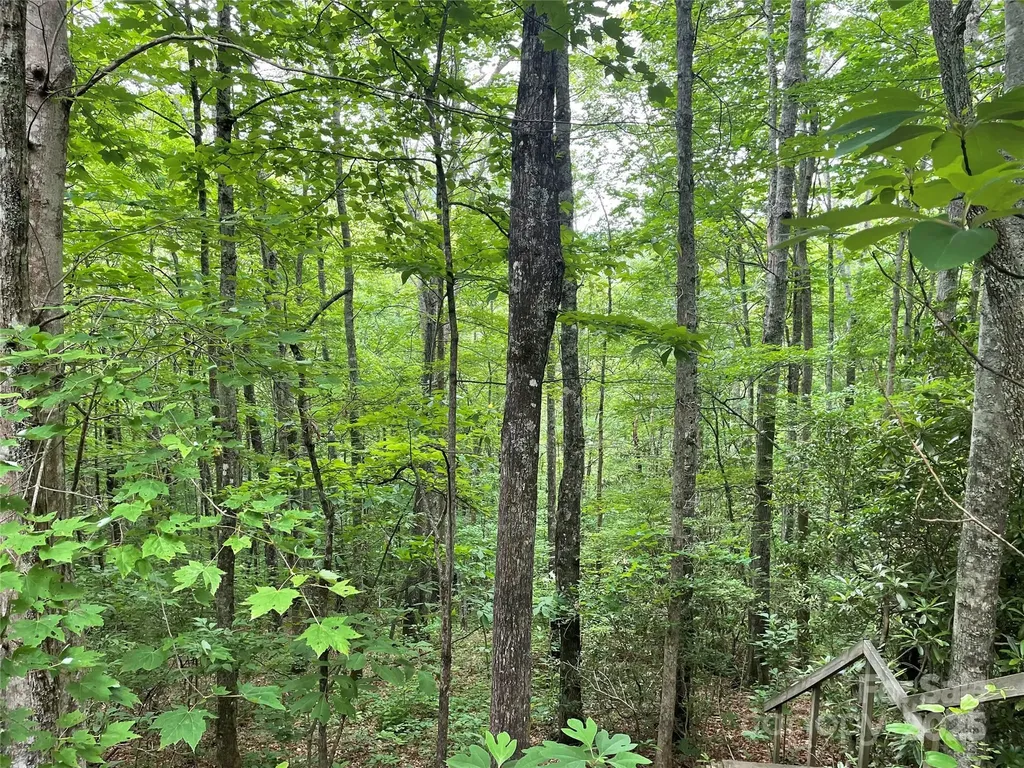 Lt 279 Cabin Flats Road Balsam NC 28707