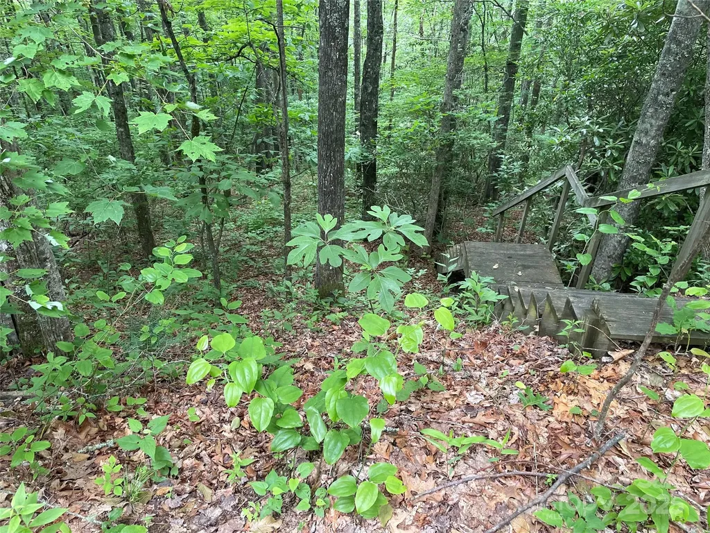 Lt 279 Cabin Flats Road Balsam NC 28707