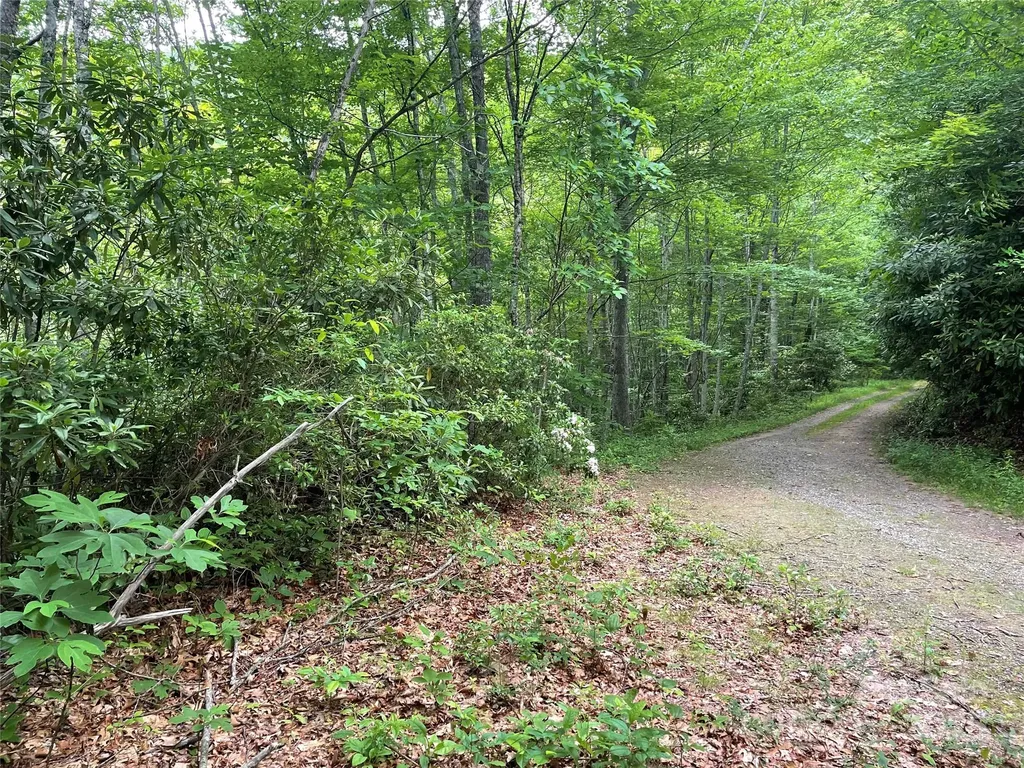 Lt 279 Cabin Flats Road Balsam NC 28707