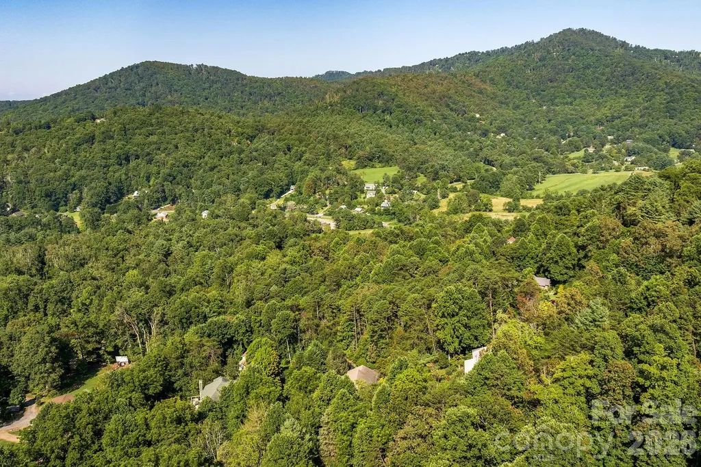 212 Blue Ridge Vista Asheville NC 28805