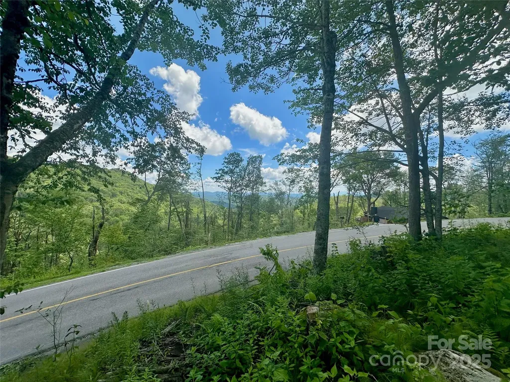 255/256 Grouse Moor Drive Sugar Mountain NC 28604