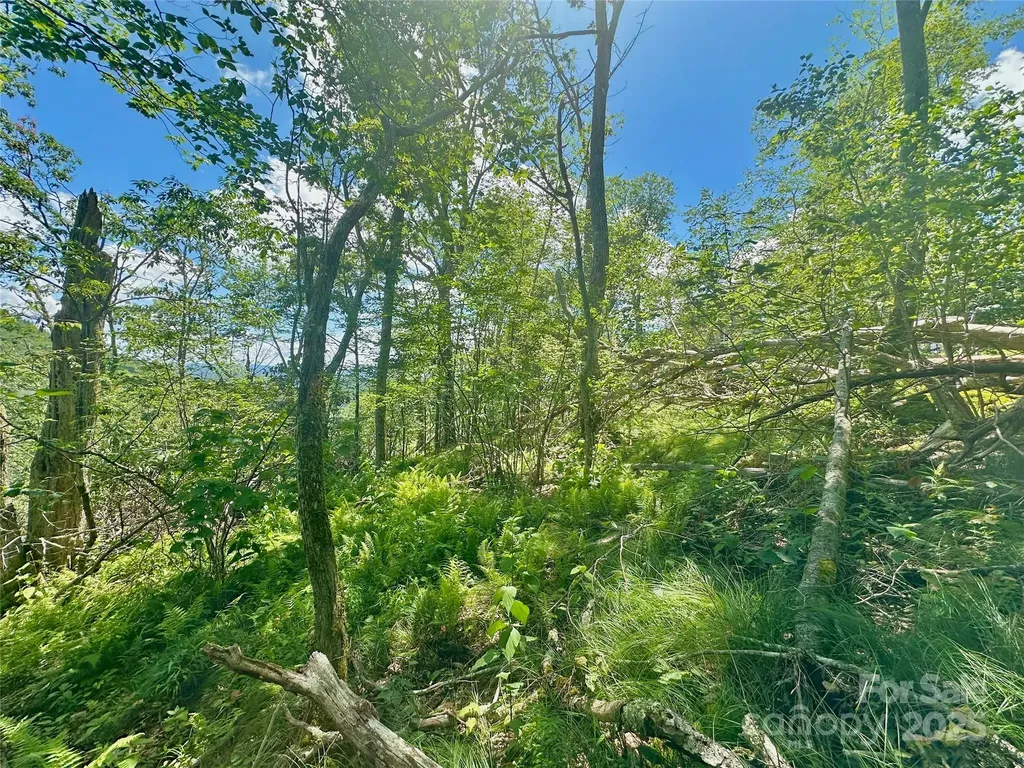 255/256 Grouse Moor Drive Sugar Mountain NC 28604