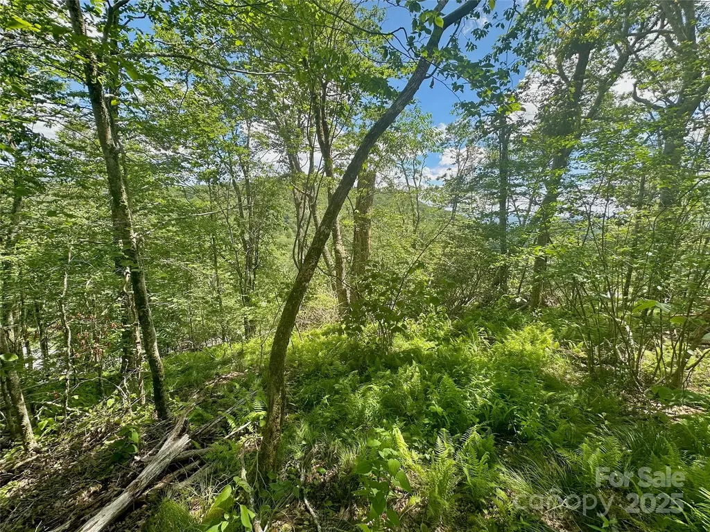 255/256 Grouse Moor Drive Sugar Mountain NC 28604