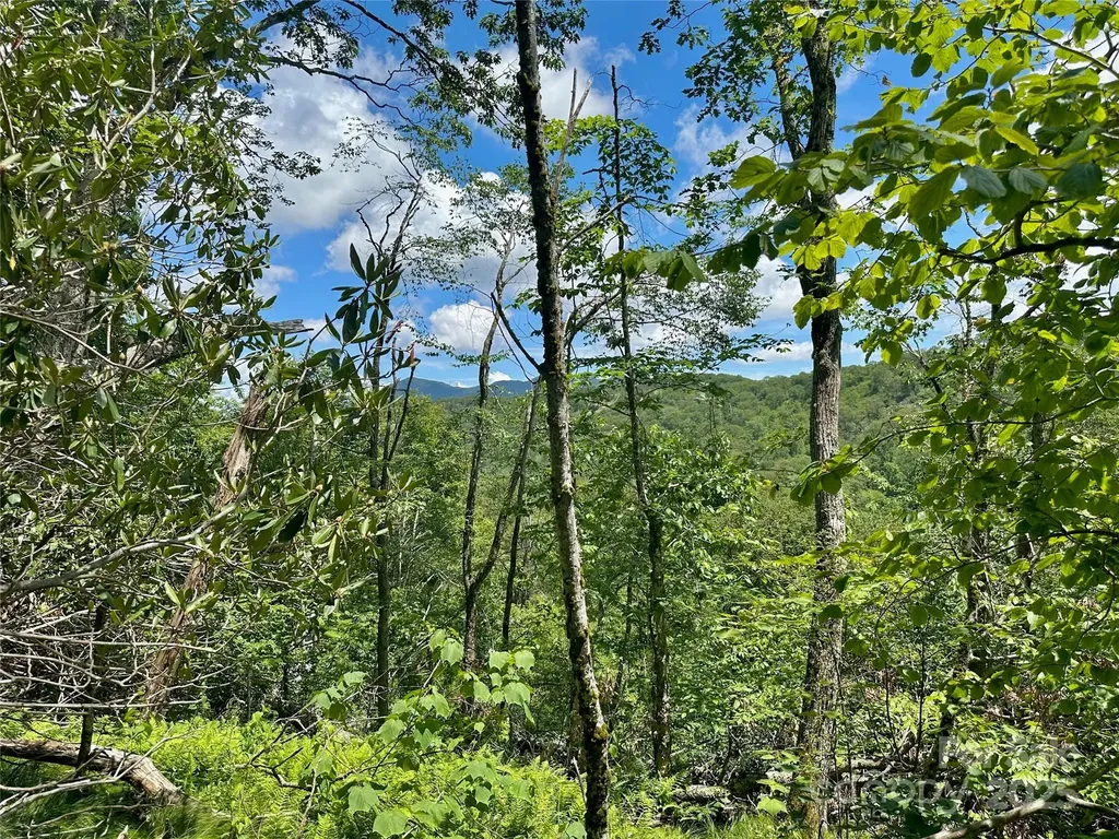255/256 Grouse Moor Drive Sugar Mountain NC 28604