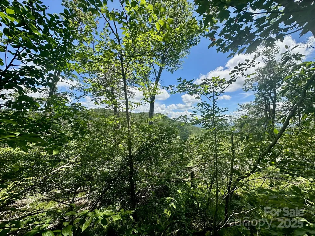 255/256 Grouse Moor Drive Sugar Mountain NC 28604
