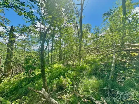 255/256 Grouse Moor Drive Sugar Mountain NC 28604