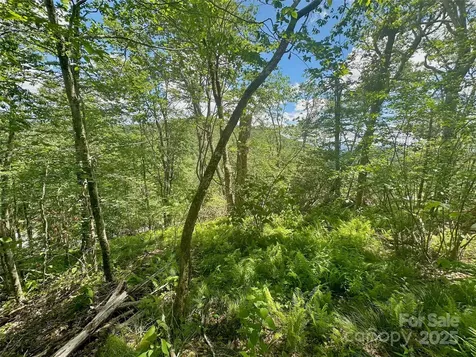 255/256 Grouse Moor Drive Sugar Mountain NC 28604
