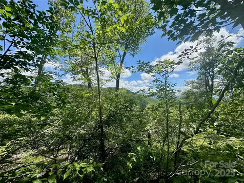 255/256 Grouse Moor Drive Sugar Mountain NC 28604