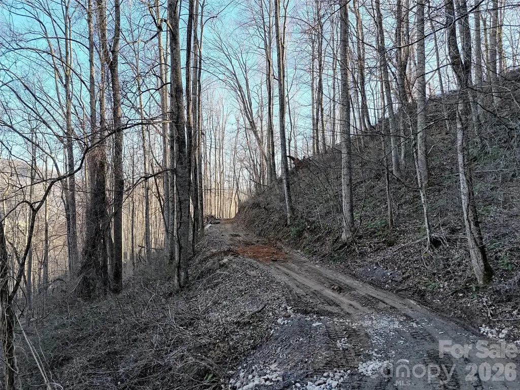 672 Porters Ridge Canton NC 28716