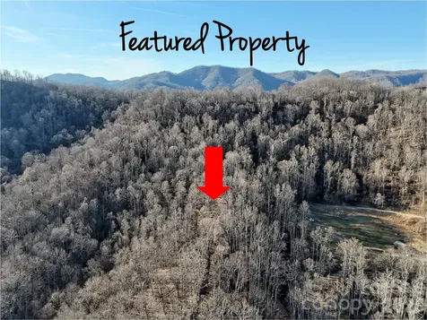 672 Porters Ridge Canton NC 28716