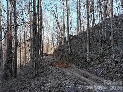 672 Porters Ridge Canton NC 28716