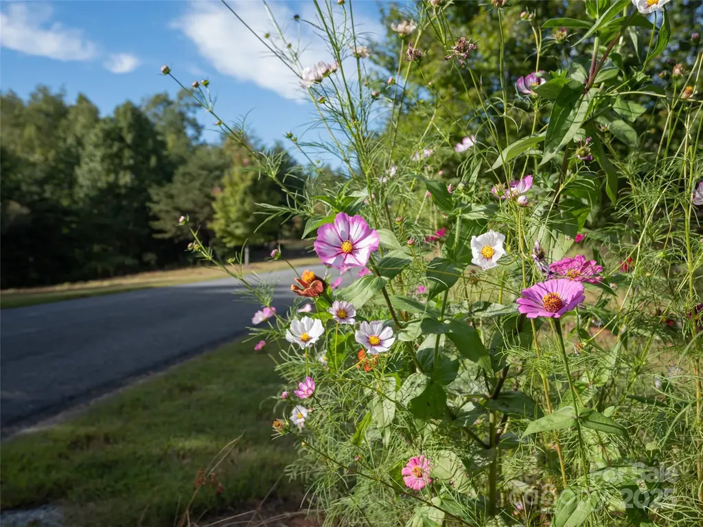 761 High Trail Drive Nebo NC 28761