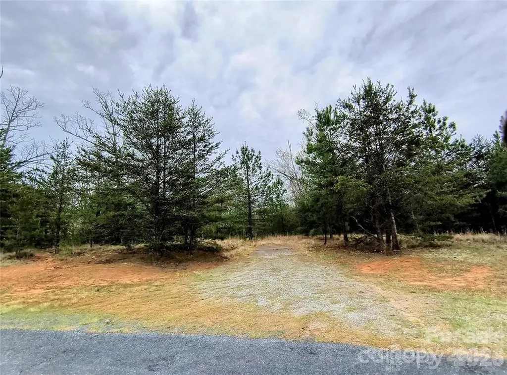 Lot #28 Lake Adger Parkway Mill Spring NC 28756