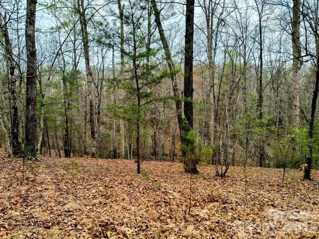Lot #28 Lake Adger Parkway Mill Spring NC 28756