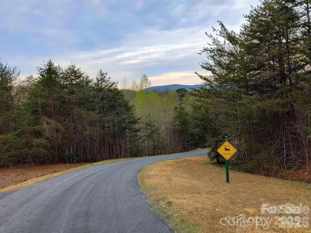 Lot #28 Lake Adger Parkway Mill Spring NC 28756