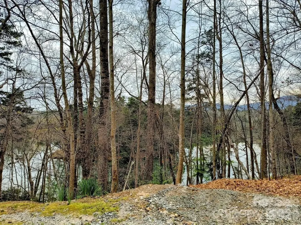 Lot #28 Lake Adger Parkway Mill Spring NC 28756