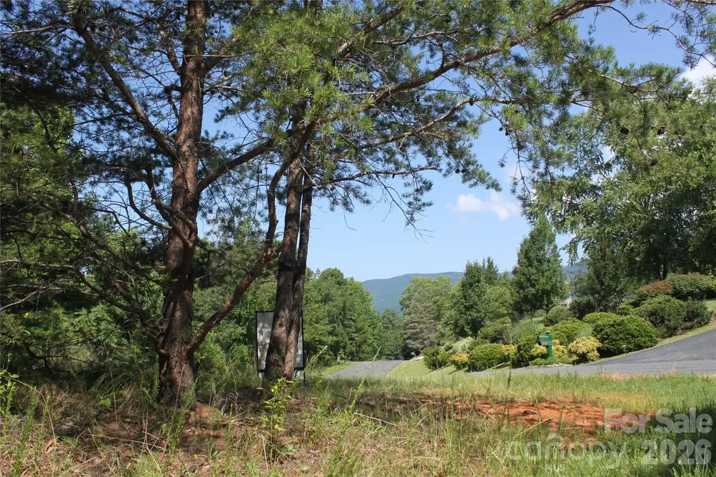 Lot #28 Lake Adger Parkway Mill Spring NC 28756