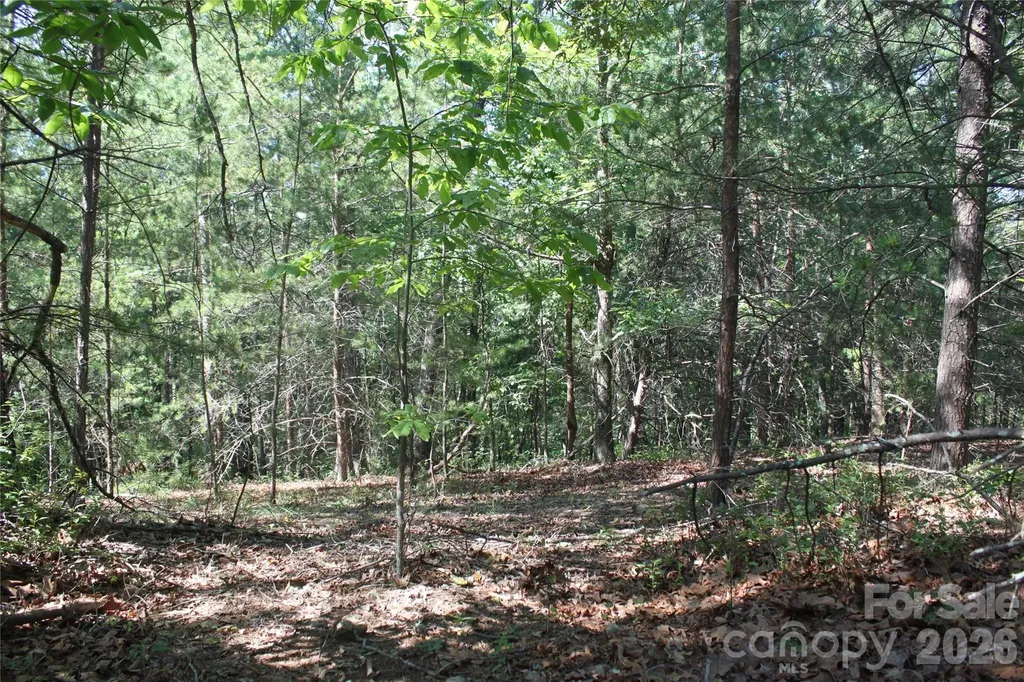Lot #28 Lake Adger Parkway Mill Spring NC 28756