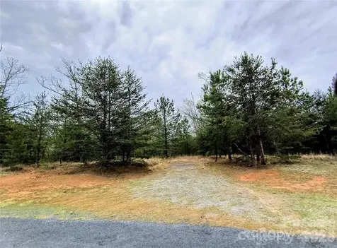 Lot #28 Lake Adger Parkway Mill Spring NC 28756