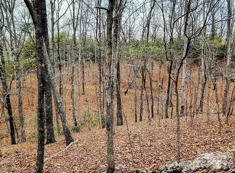 Lot #28 Lake Adger Parkway Mill Spring NC 28756
