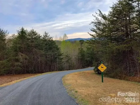 Lot #28 Lake Adger Parkway Mill Spring NC 28756