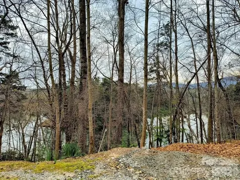 Lot #28 Lake Adger Parkway Mill Spring NC 28756