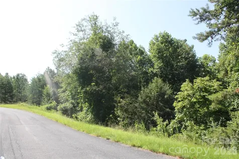 Lot #28 Lake Adger Parkway Mill Spring NC 28756