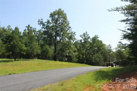Lot #28 Lake Adger Parkway Mill Spring NC 28756