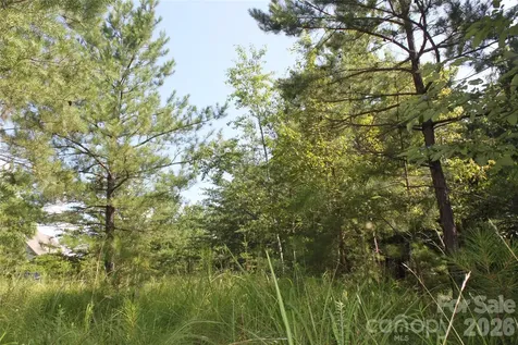 Lot #28 Lake Adger Parkway Mill Spring NC 28756