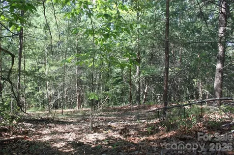 Lot #28 Lake Adger Parkway Mill Spring NC 28756
