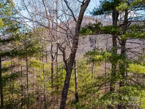 794 Silverstone Drive Hendersonville NC 28792